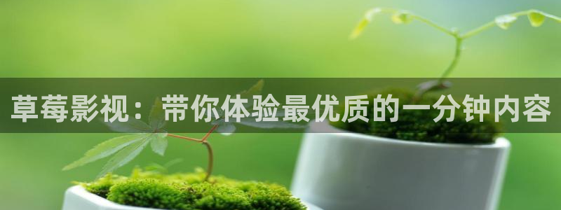 yy6090免费高清电视