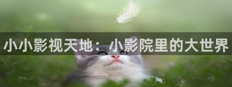 青苹果电影院yy6090